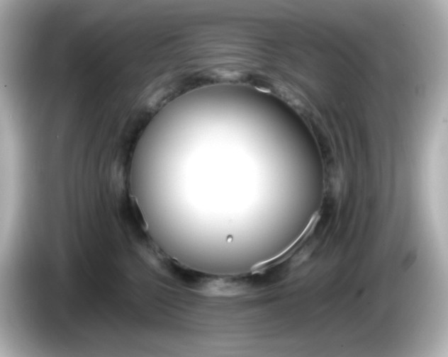 X0000086040568200704091152