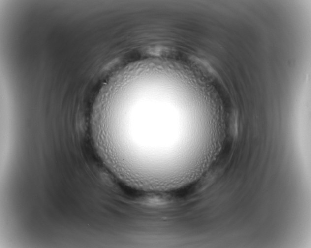X0000086040569200704091153