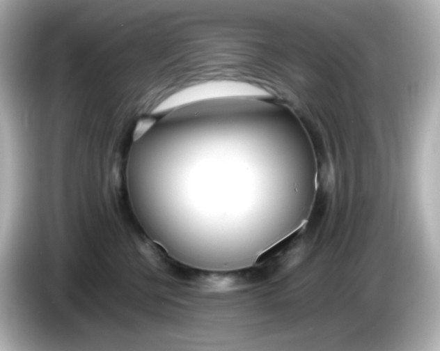 X0000086040570200704091153