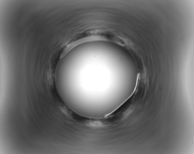 X0000086040572200704091153