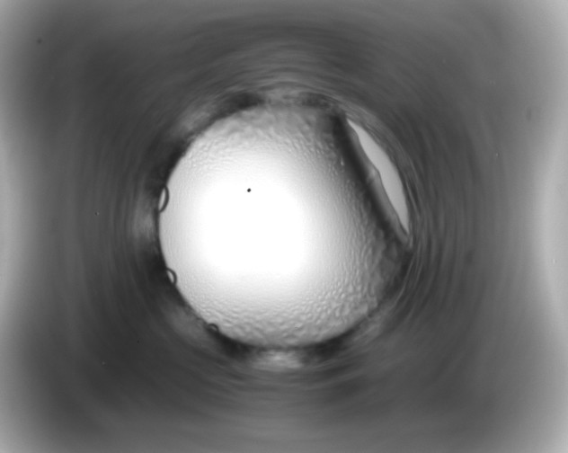 X0000086040573200704091153