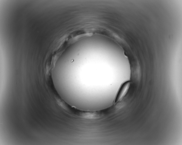 X0000086040574200704091153