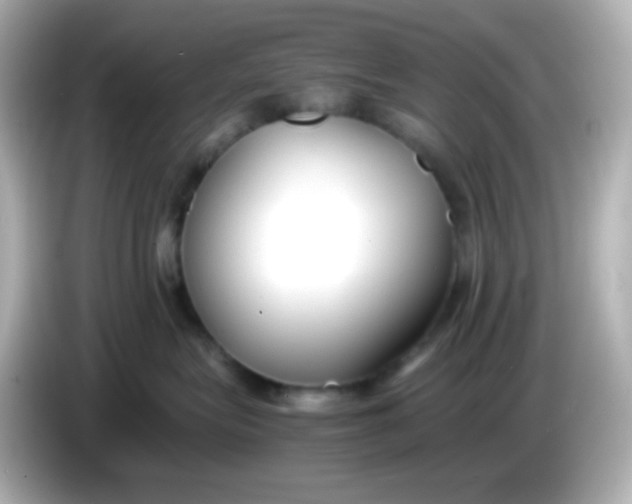 X0000086040575200704091153