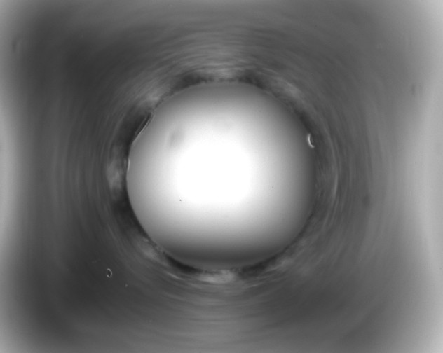 X0000086040576200704091153