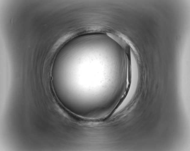 X0000086040577200704091152