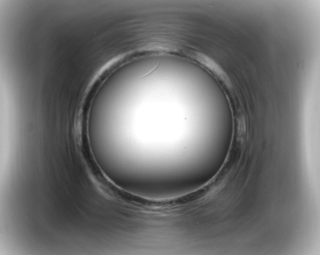 X0000086040580200704091152
