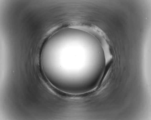 X0000086040581200704091152