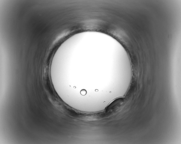X0000086040583200704091152