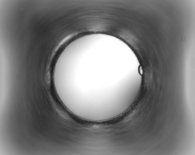 X0000086040584200704091152
