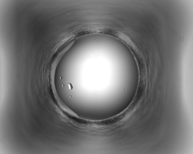 X0000086040585200704091152