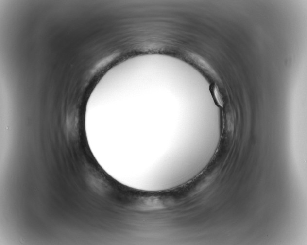 X0000086040588200704091152