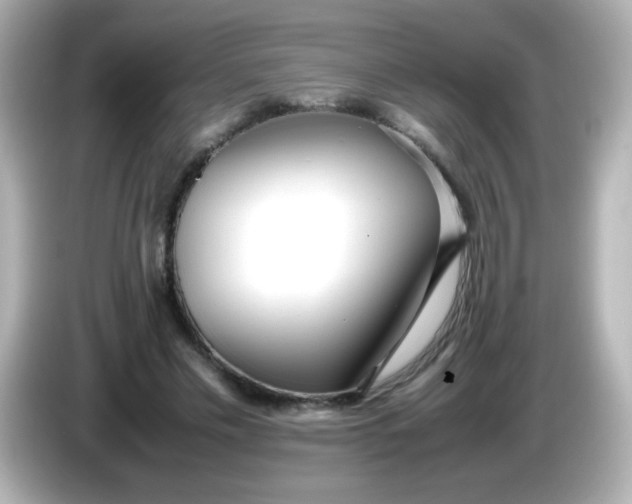 X0000086040589200704091152