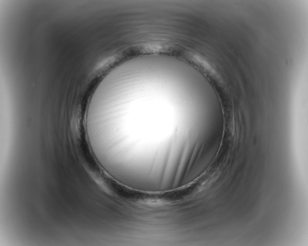 X0000086040590200704091152