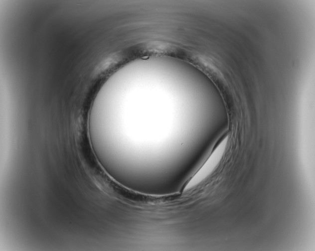 X0000086040591200704091152