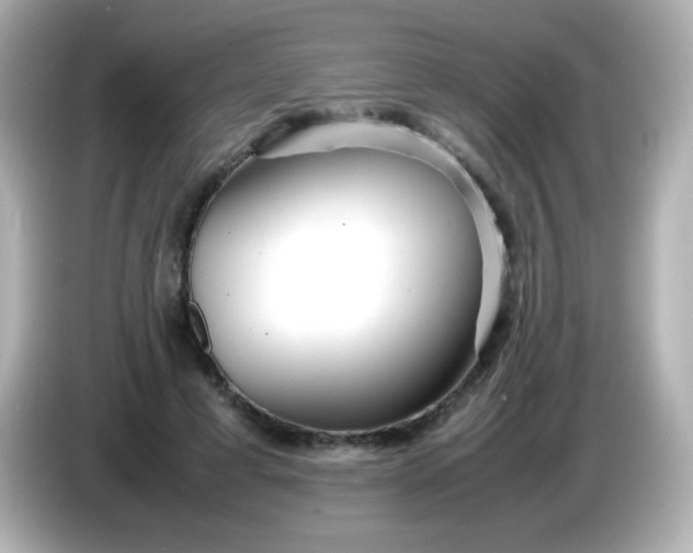 X0000086040593200704091152