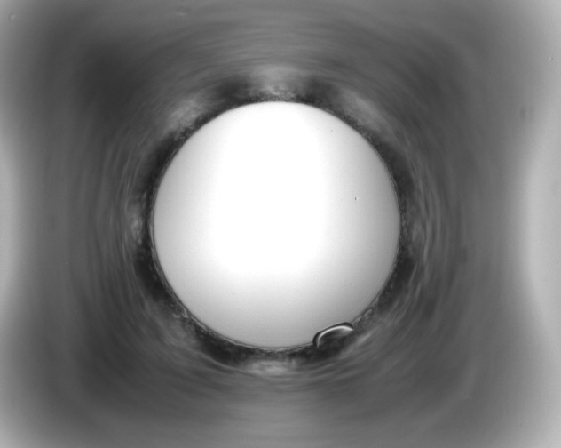 X0000086040595200704091152