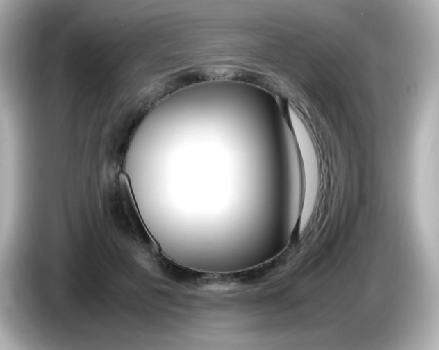 X0000086040601200704091152