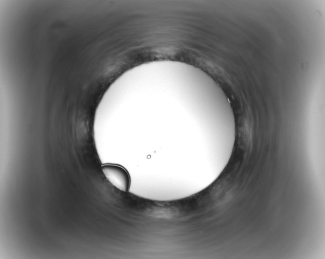 X0000086040608200704091152