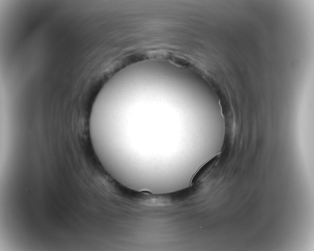 X0000086040619200704091152