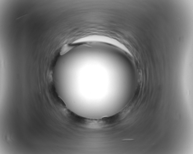 X0000086040621200704091152
