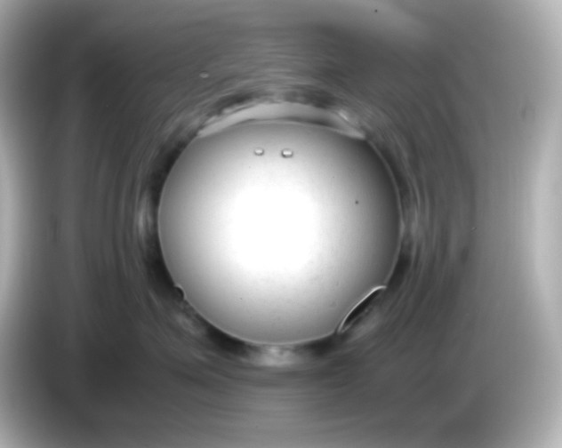 X0000086040623200704091151