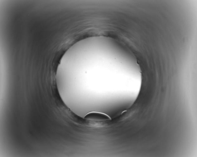 X0000086040624200704091151