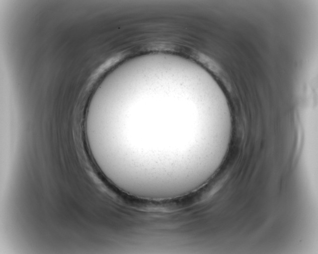 X0000086040625200704091151