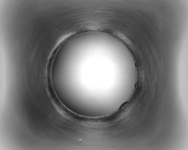 X0000086040626200704091151
