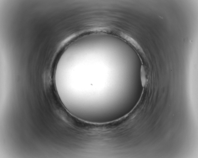 X0000086040628200704091151