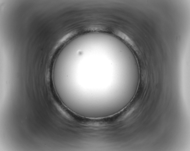 X0000086040629200704091151