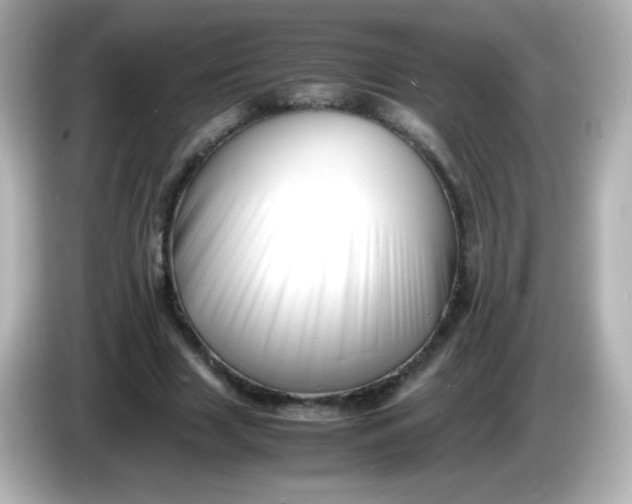 X0000086040633200704091151