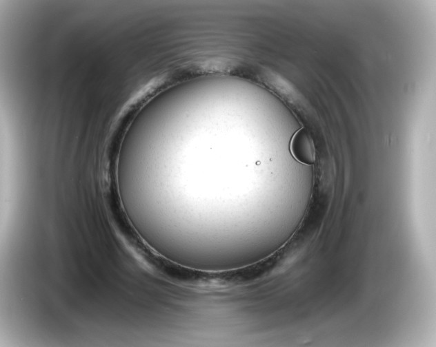 X0000086040634200704091151