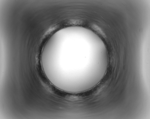 X0000086040635200704091151