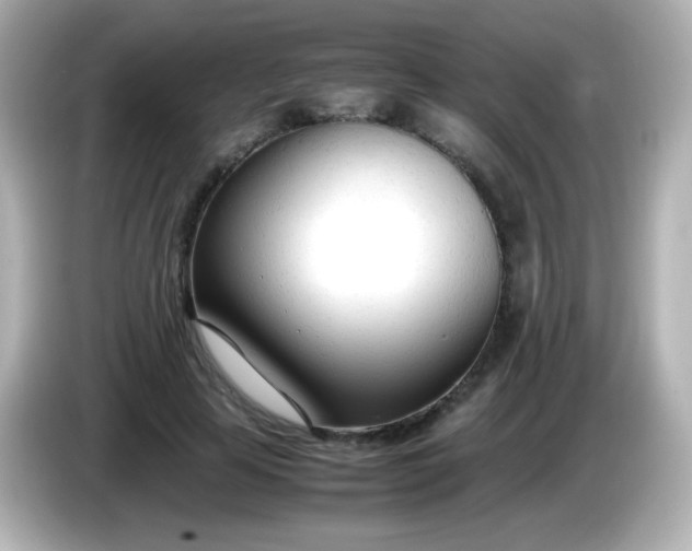 X0000086040641200704091151