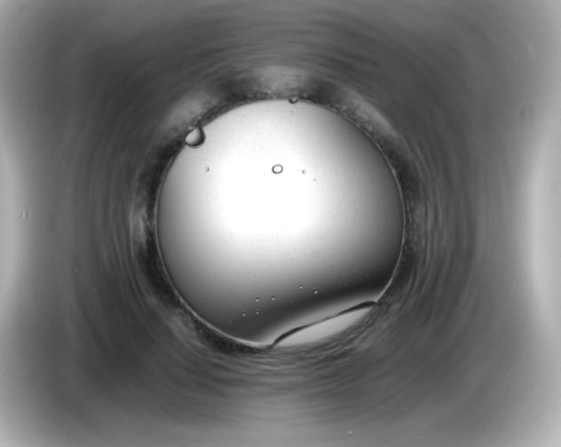 X0000086040644200704091151
