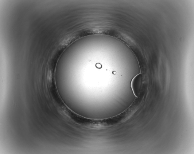 X0000086040646200704091151