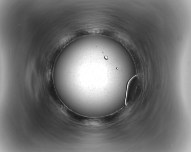 X0000086040652200704091151