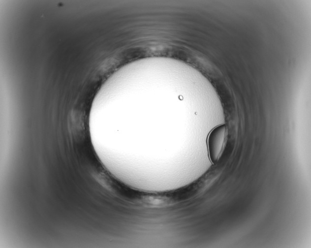 X0000086040654200704091151