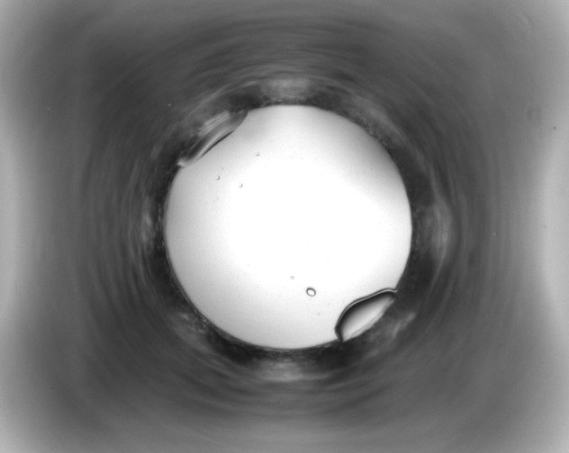 X0000086040655200704091151