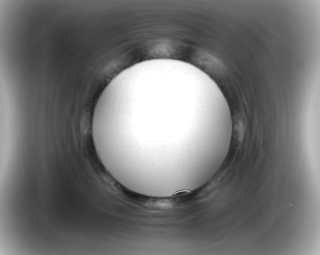 X0000086040665200704091151
