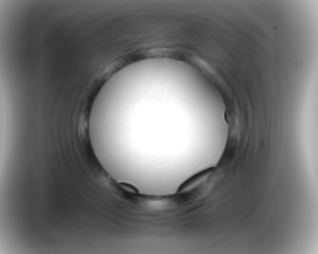 X0000086040669200704091151