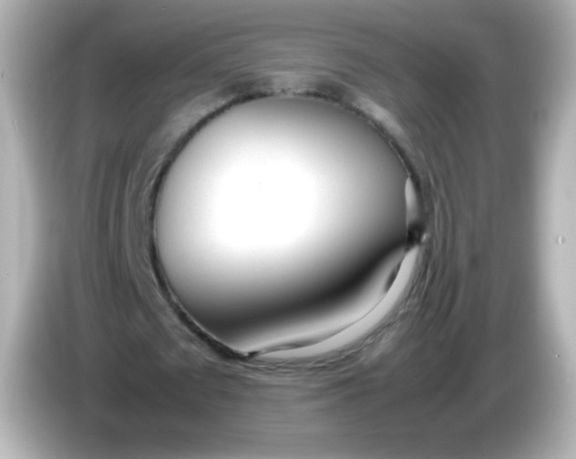 X0000086040673200704091151