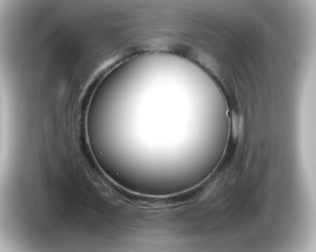 X0000086040675200704091151