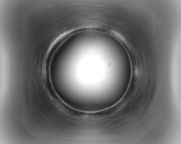 X0000086040676200704091151