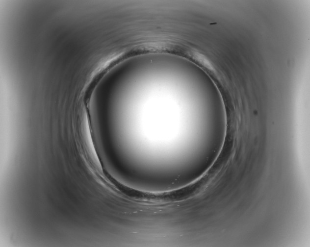 X0000086040677200704091151
