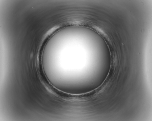 X0000086040678200704091151