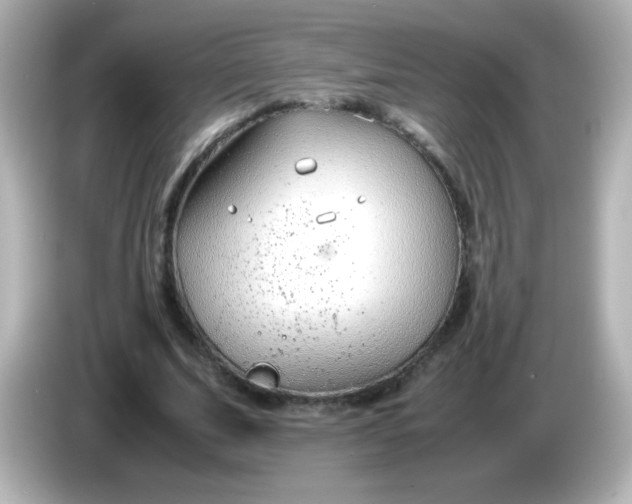 X0000086040679200704091151