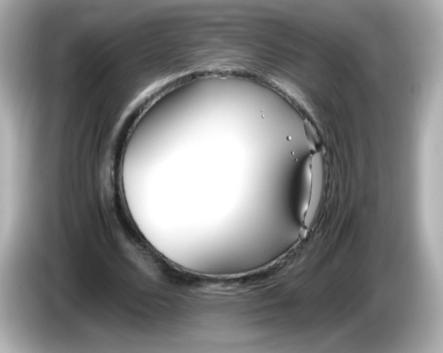 X0000086040680200704091151