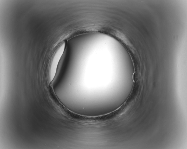 X0000086040681200704091151