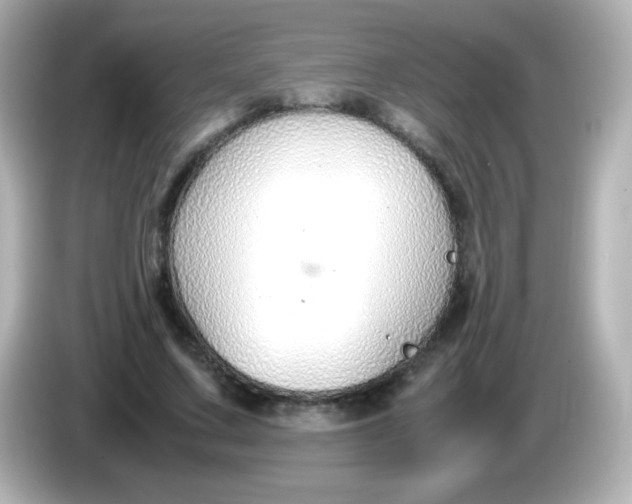 X0000086040683200704091151